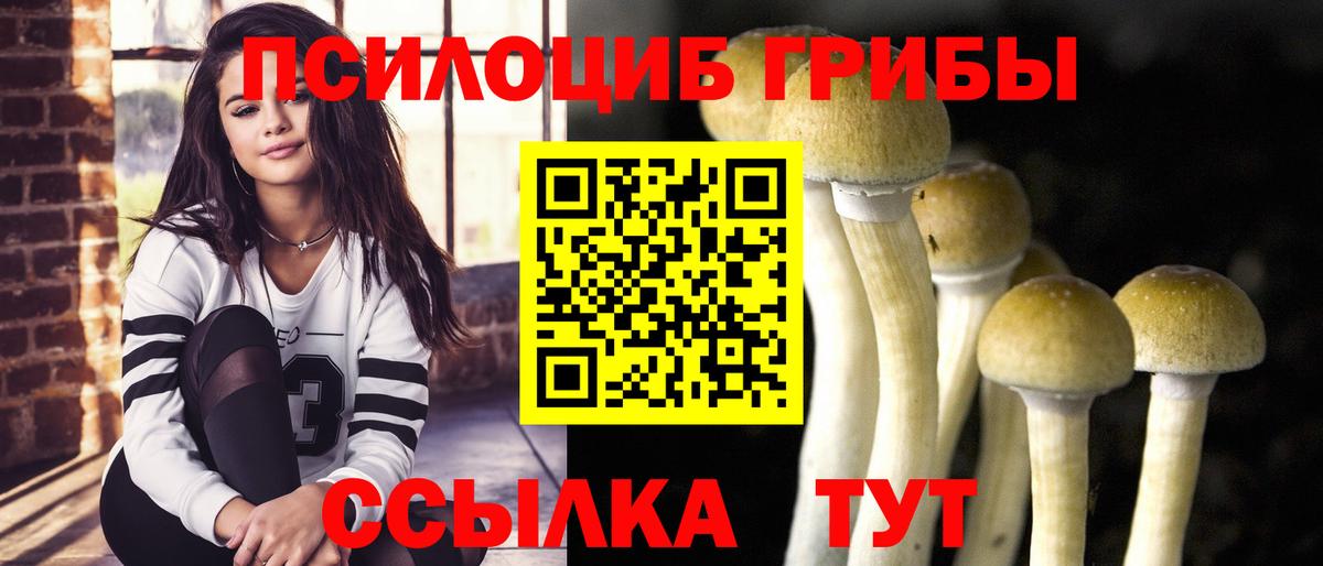 Галлюциногенные грибы мухоморы Кашира